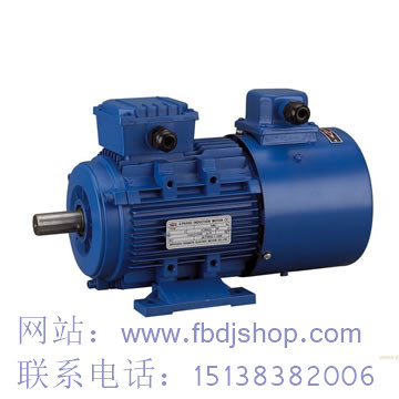 TYBPX變頻調(diào)速防爆永磁電機(jī).jpg